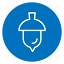 Acorn icon