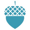 Acorn 4 icon