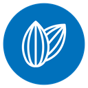 Almond icon