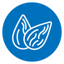 Almond 2 icon