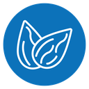 Almond icon