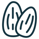 Almond icon