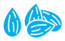 Almond icon