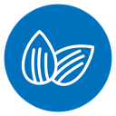 Almonds icon