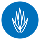 Aloe vera icon