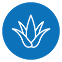Aloe vera icon