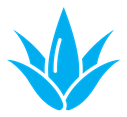 Aloe vera icon