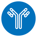 Antibody icon