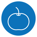 Apple icon