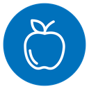 Apple Fruit icon