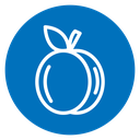 Apricot icon