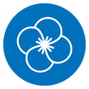 Araliya flower icon