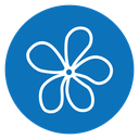 Araliya flower icon