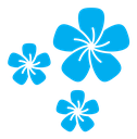 Araliya flower icon