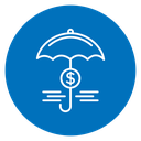 Assets protection 2 icon