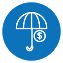 Assets protection icon