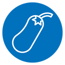 Aubergine icon