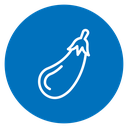 Aubergine 2 icon