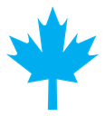 Autumn leaf canadian icon