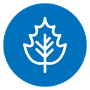 Autumn Leaf icon