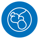 Baby in stomach icon