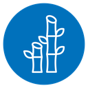 Bamboo icon