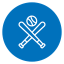 Baseball 4 icon