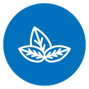 Basil icon