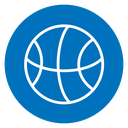 Basketball icon