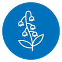 Bellflower Plant icon