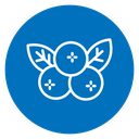 Berry Blossom Branch Color Filled icon