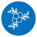 Berry Branch icon