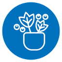 Berry shrubs and vines icon