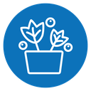 Berry shrubs and vines icon