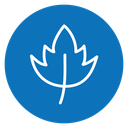 Birch leaf 2 icon