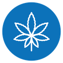 Birch leaf icon
