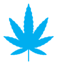 Birch leaf icon (2) icon