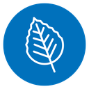 Birch leaf 2 icon
