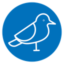 Bird icon