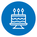 Birthday cake 2 icon
