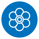 Blossom Flower icon