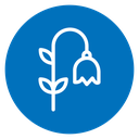 Bluebell Flower icon