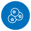 Blueberries 4 icon