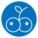 Blueberries icon