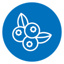 Blueberries Color Filled icon