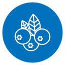 Blueberry icon