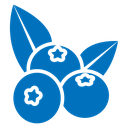 Blueberry icon