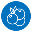 Blueberry 2 Color Filled icon