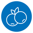 Blueberry icon