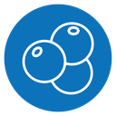 Blueberry 2 icon